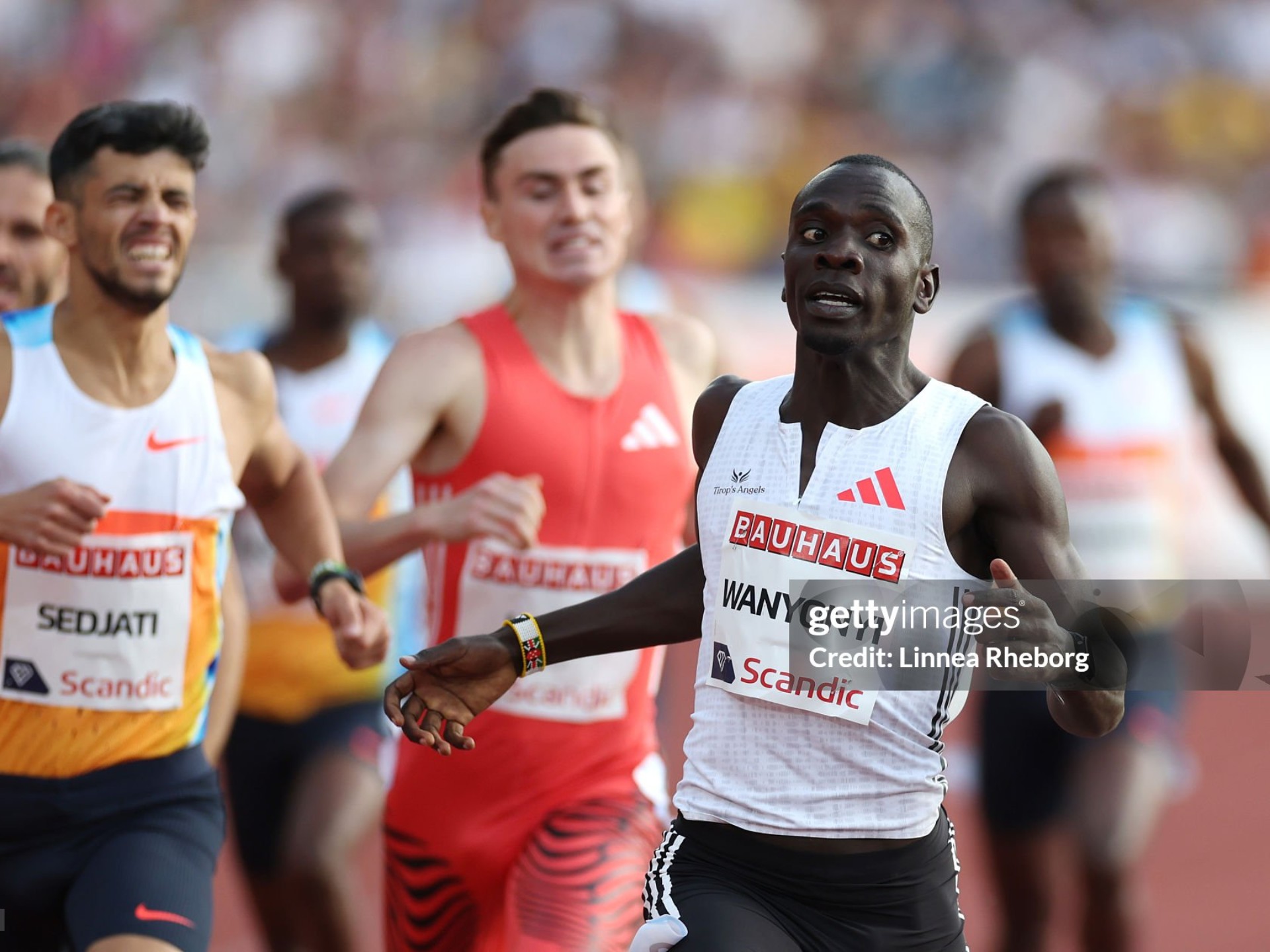 纽卡斯尔迎法国杯关键赛,今晚复出首秀,信心回归,赛季目标并未改变的简单介绍 纽卡斯尔迎法国杯关键赛,今晚复出首秀,信心回归,赛季目标并未改变的简单介绍